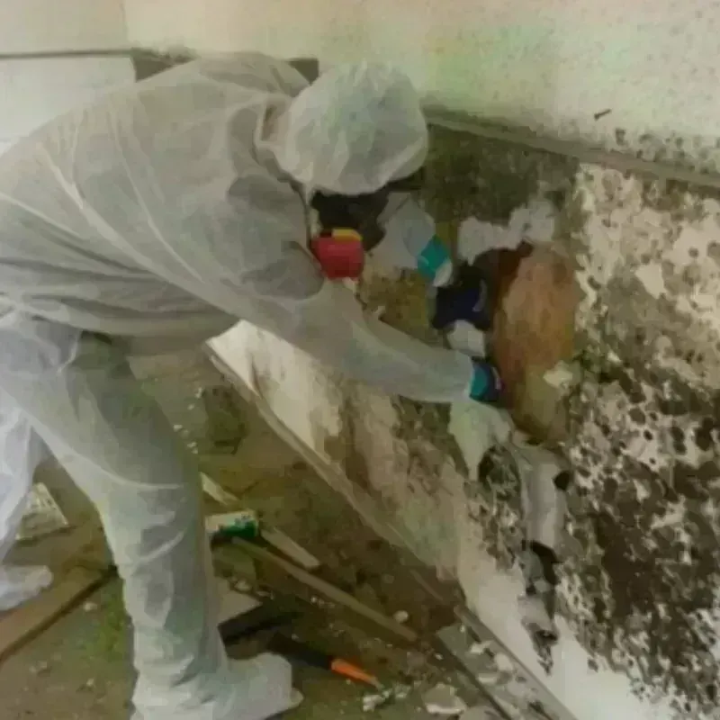 Mold Remediation and Removal in Narragansett, RI